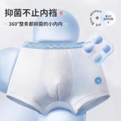 Q21 儿童内裤 男平角 夏日露营 5条装 90码