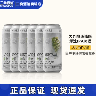 大九 热带共和海盐降临流体果泥无序浑玉IPA  国产精酿啤酒组合装 降临浑浊IPA 500mL 6罐
