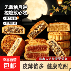 低糖月饼低甜传统五仁月饼新鲜老式中秋糕点零食批发 板栗口味 广式无蔗糖月饼100g/个