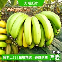 88VIP：果果 广西高山香蕉当季新鲜水果现摘现发青皮蕉薄皮自然熟软糯香甜整箱