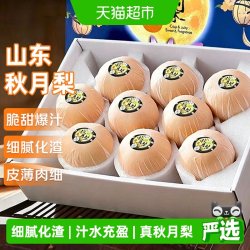 寻天果蔬 秋月梨正宗山东新鲜阳莱梨子羊脂级大果时令正品水果