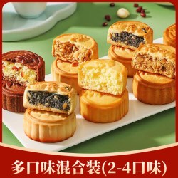 食尚物语 卢师傅月饼椰蓉巧克力味中秋月饼五仁花生酥脆皮老式月饼小个即食