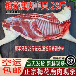 芬氏 鹿肉新鲜现杀梅花鹿白条整只带皮鹿肉腿肉鹿排鹿腱子鹿肉中秋礼盒 每日现杀带皮鹿肉3斤（假一赔十）