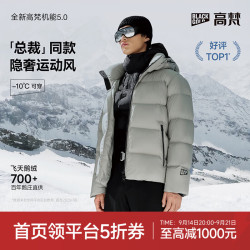 高梵 黑金鹅绒服机能5.0五格加厚城市户外男士羽绒服 5.0松石绿 XL