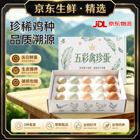五彩禽珍蛋15枚