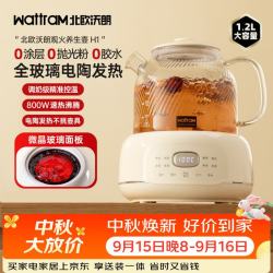 北欧沃朗 1.2L 养生壶 电陶炉