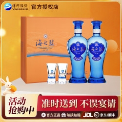 洋河 蓝色经典 海之蓝礼盒装  52度绵柔浓香型白酒 送礼名酒 中秋送礼 52度 480mL 2瓶 礼盒装