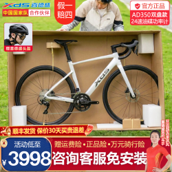 喜德盛 AD350公路自行车成人破风车架训练功率计碳纤前叉ad350 星云白 24速 450mm