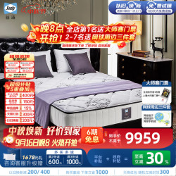 丝涟 帝梵中央记忆棉泡棉美姿弹簧Pro奢享释压床垫定制/延迟适中偏硬