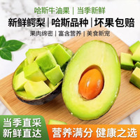 东鲜丰 牛油果单果100g-130g 6枚
