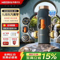 韦思卡尔 净宝瓶定制款反重力前置过滤器10T/H大流量家用反冲洗WSP-85-86T