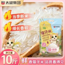 太粮 当季猫牙米天稻长粒香大米 5kg