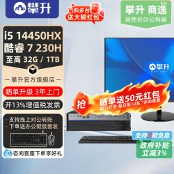 攀升 兄弟睿龙T412代13代小主机