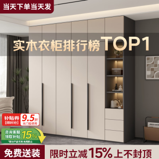 隐匠小驿 实木衣柜卧室家用简约经济型柜子轻奢大衣橱四门组合柜 0.6米两门主柜