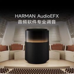 红米 MI）户外蓝牙音箱 Camp 14小时长续航 露营氛围灯 SU7 黑色