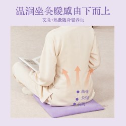 真不二 艾灸坐垫陈艾办公室加热坐垫艾草艾绒热敷