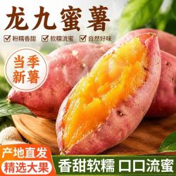 九龙 现挖新鲜沙地龙九蜜薯 健康减脂黄心香甜红薯 沙地蜜薯中大果净重4.5斤（单果3两-1斤）