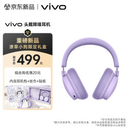 vivo XE W42 主动降噪 微风紫 蓝牙耳机