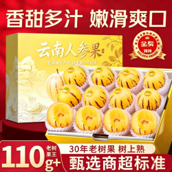骄瑰 云南石林人参果 5斤装（单果110g+）