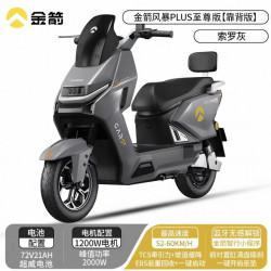 金箭 风暴 PLUS 至尊版电动摩托车 72V21Ah 超威电池