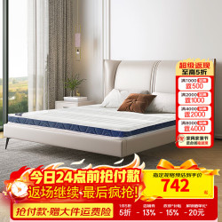 天坛家具 床垫 新款椰棕床垫硬棕垫椰棕薄垫 青少年护脊 舒悦C款-总厚10cm 1000*1900mm