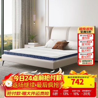 天坛家具 床垫 新款椰棕床垫硬棕垫椰棕薄垫 青少年护脊 舒悦C款-总厚10cm 1000*1900mm