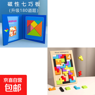 儿童磁性七巧板拼图小学生智力玩具一年级教具幼儿园益智磁力拼板 磁性七巧板+俄罗斯方块