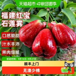 寻天果蔬 顺丰上门福建莲雾红宝石爆甜应当季现摘黑刚金新鲜特大果大叶莲雾