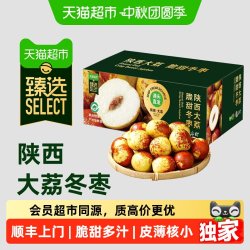 末浅 陕西大荔冬枣 新鲜脆甜 应季水果