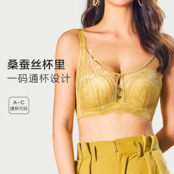 欧迪芬 内衣女软钢圈美背文胸