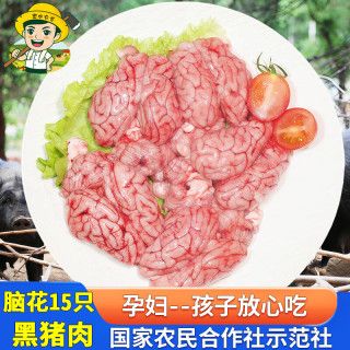 跑山密水农家 新鲜黑猪大个脑花15只 生鲜猪肉 火锅烧烤食材 源头直发