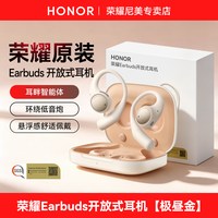 荣耀 Earbuds 挂耳式蓝牙耳机 极昼金 Type-C