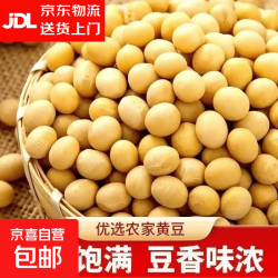 新货黄豆农家豆浆豆芽新鲜黄豆高蛋白黄豆非转基因大豆 优质精品黄豆100g