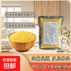 黄小米 山西代县小米新米250g