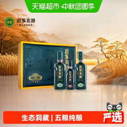 迎驾贡酒 迎驾洞藏16浓香型白酒52度520ml*2瓶+125ml礼盒装