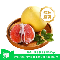 胡鲜森 福建平和红心蜜柚现摘当季水果2粒装单果800g+