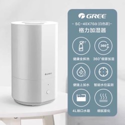 格力 室内加湿器家用卧室大雾量喷雾器小型孕妇婴儿