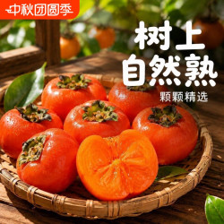 果恋多 山西正宗香甜火晶柿子当季新鲜水果整箱软柿子水晶脆柿子应季直发