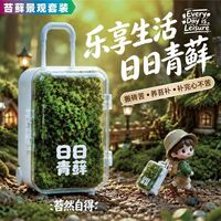 百亿补贴：壹分皿 办公室内工位装饰桌搭微景观桌面绿植创意网红礼品