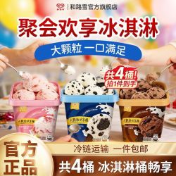 和路雪 曲奇饼干巧克力口味 桶装冰淇淋