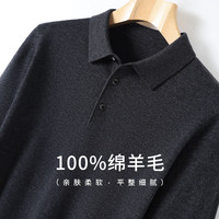 安东尼奥 简奢商务休闲男士翻领Polo衫羊毛衫打底毛衣春秋季
