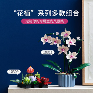 乐高 10311 兰花 积木拼插玩具