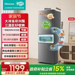 海信 BCD-256E3SRNKD 一级能效无霜 三门冰箱