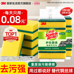 Scotch-Brite G621 海绵百洁布
