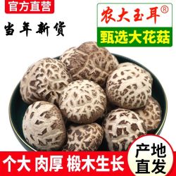 农大玉耳 东北特产花菇纯椴木香菇剪腿金钱菇冬菇肉厚味浓干货新货无硫新货