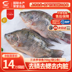 国联 三去罗非鱼 2条 700g