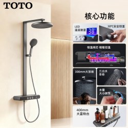 TOTO 官方正品TBW12480数显恒温巨幕置物按键枪灰色花洒MY5 (05-E)