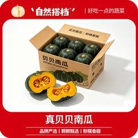 自然搭档 真贝贝南瓜新鲜蔬菜宝宝辅食小南瓜板栗粉面 8斤单果400g起多仓发