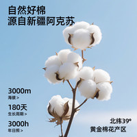 有棵树 10A级纯棉女士内裤 浅紫+灰蓝+豆粉 L码 3条装