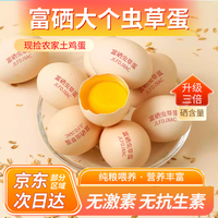尝易 新鲜土鸡蛋农家散养营养富硒蛋草鸡蛋笨大个蛋谷物蛋